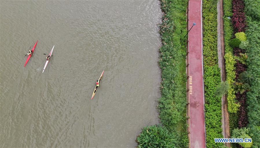 Environment improves after pollution treatment of Maozhou River in Shenzhen