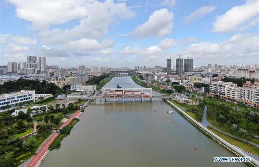 Environment improves after pollution treatment of Maozhou River in Shenzhen