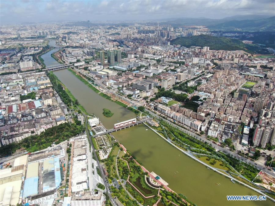 Environment improves after pollution treatment of Maozhou River in Shenzhen