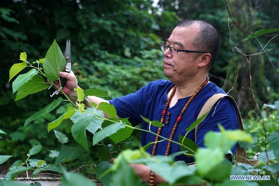 Pic story of porcelain leaf cup maker in Jiangxi