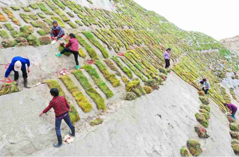 Ecological evaluation system brings new look to East China’s Jiangxi