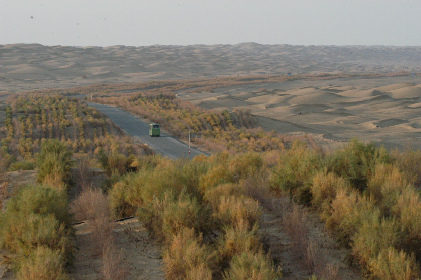 Highway in northwest China's dessert drives economy, lifts environment