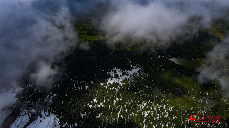 Snowfall turns Xinjiang grasslands into picturesque wonderland