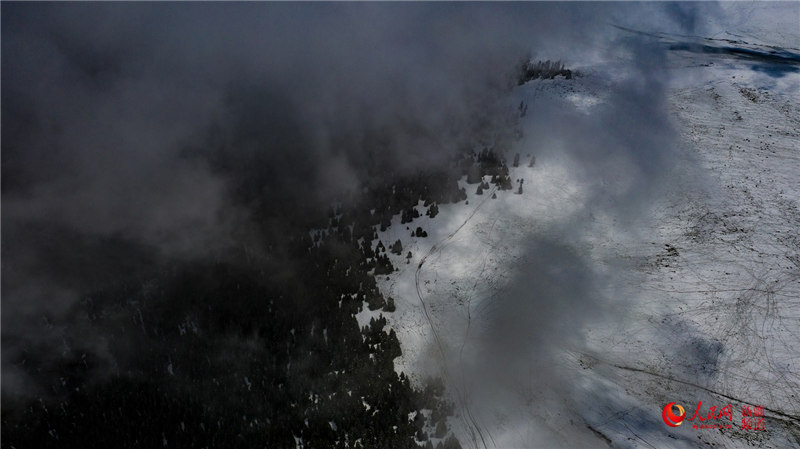 Snowfall turns Xinjiang grasslands into picturesque wonderland