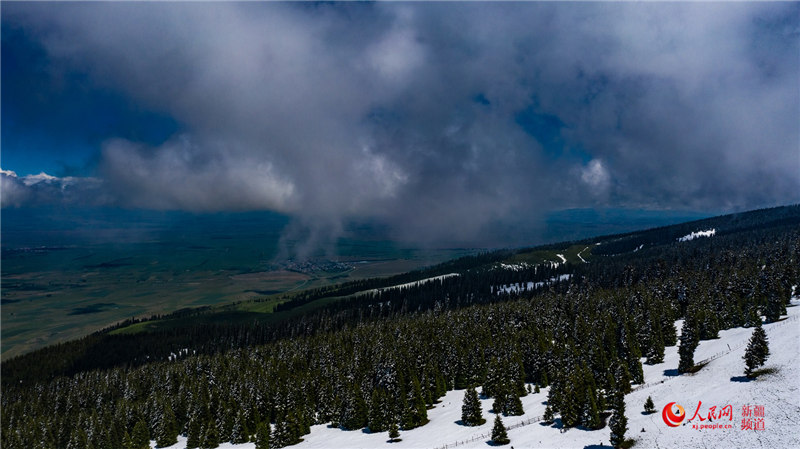 Snowfall turns Xinjiang grasslands into picturesque wonderland