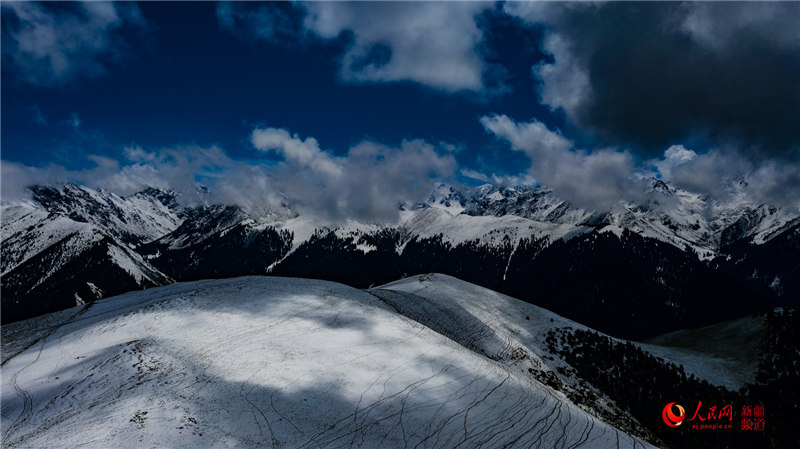 Snowfall turns Xinjiang grasslands into picturesque wonderland