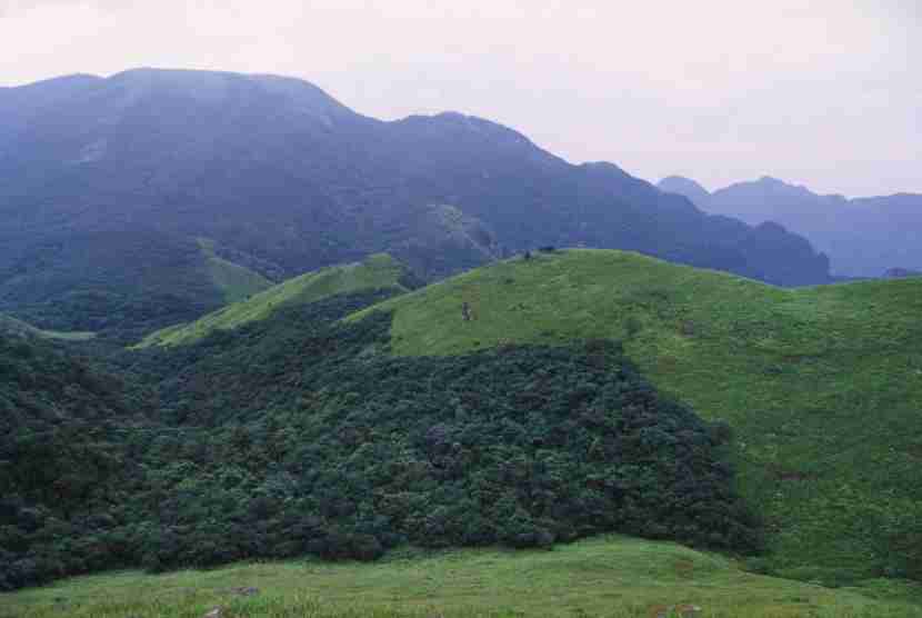 Trading of certified carbon emission reductions benefits villages in S China’s Guangdong