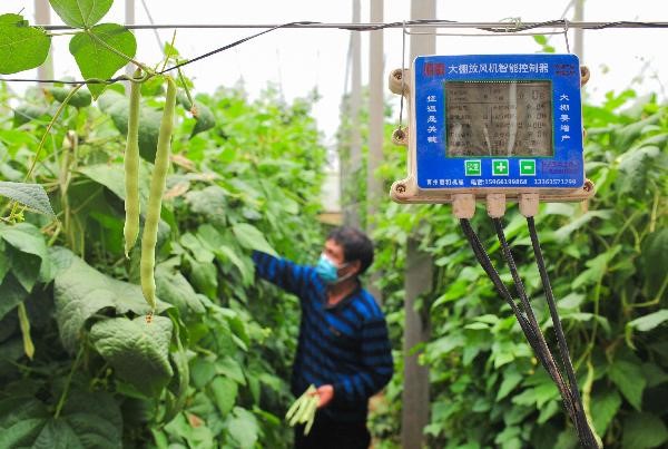 Smart agricultural technologies help reduce costs, increase income for farmers in E China’s Shandong