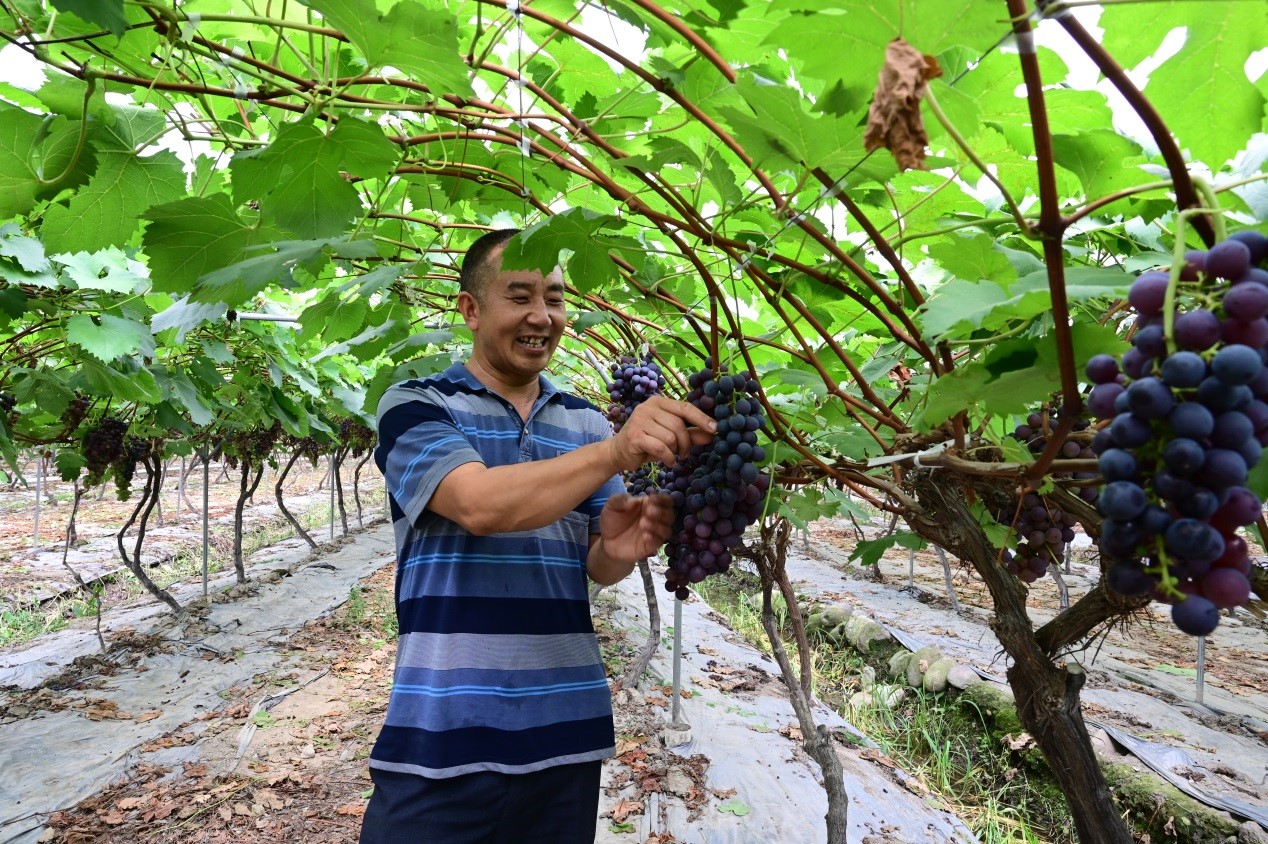 Migrant worker returns to home town, runs eco-friendly farm and contributes to poverty alleviation