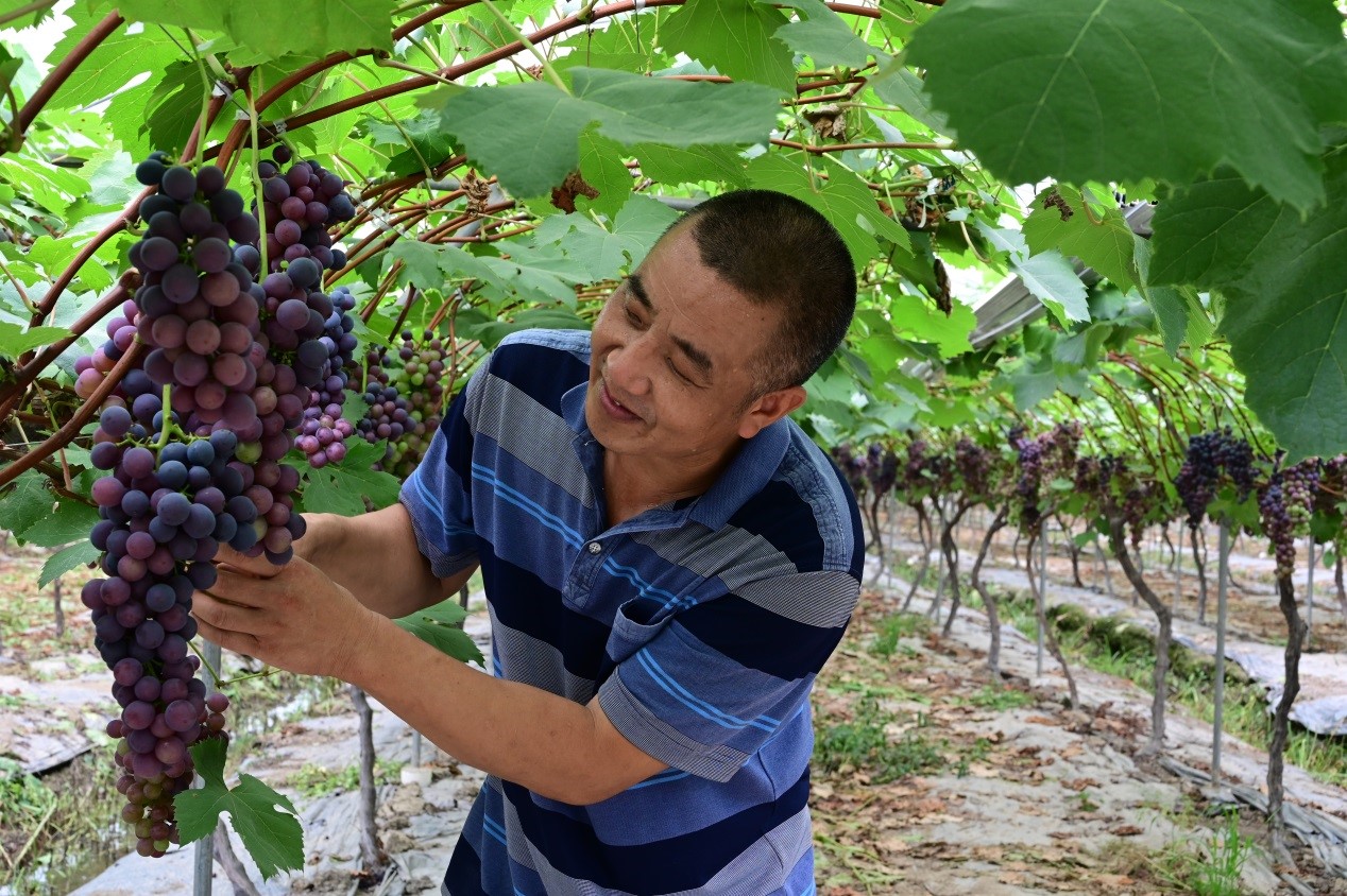 Migrant worker returns to home town, runs eco-friendly farm and contributes to poverty alleviation