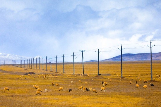 Tibet improves power construction, straightens “last mile” for poverty alleviation