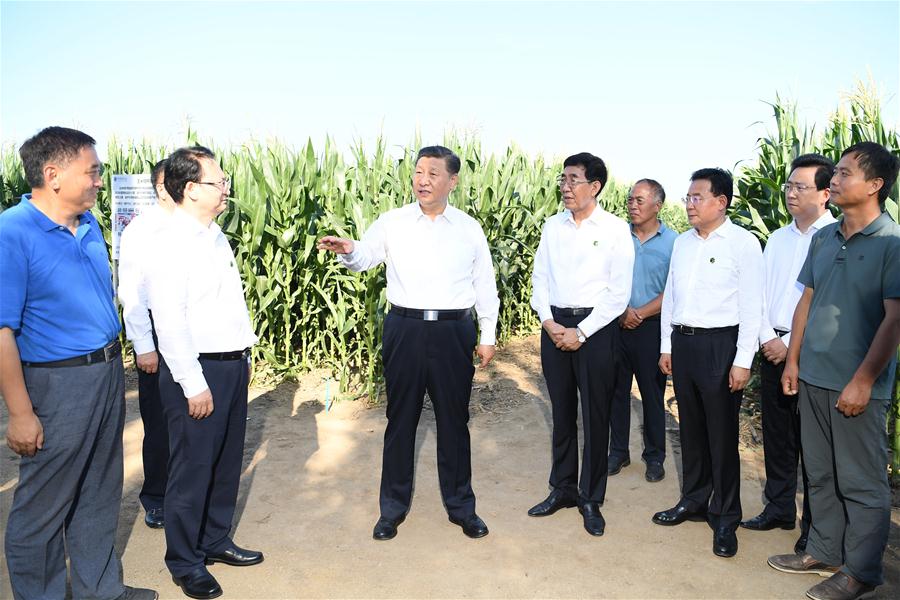 CHINA-JILIN-XI JINPING-INSPECTION (CN)