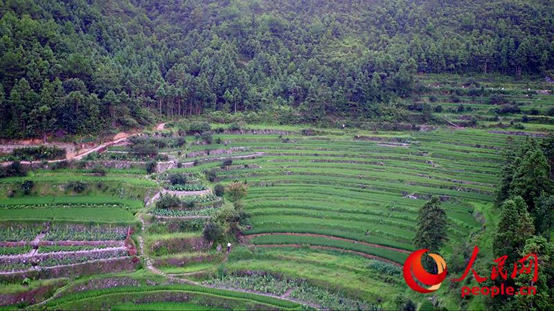 Mountain village in east China builds roads out of poverty