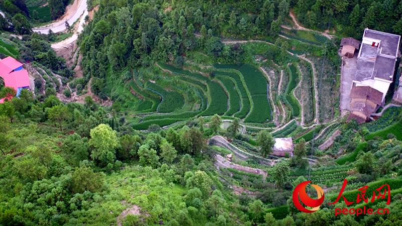 Mountain village in east China builds roads out of poverty