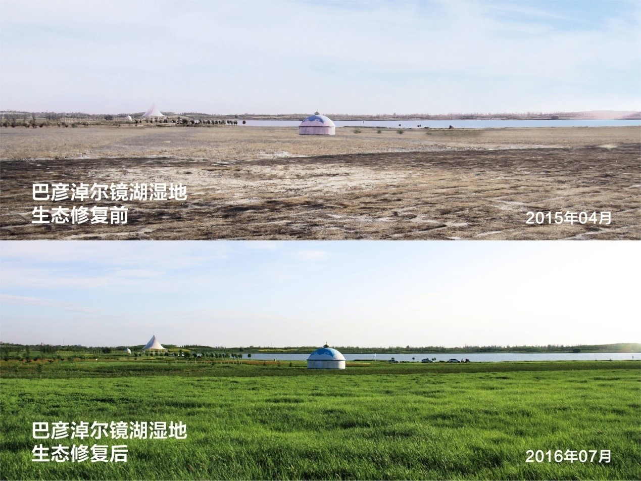 China's Inner Mongolia strives to combat desertification, improve ecological environment