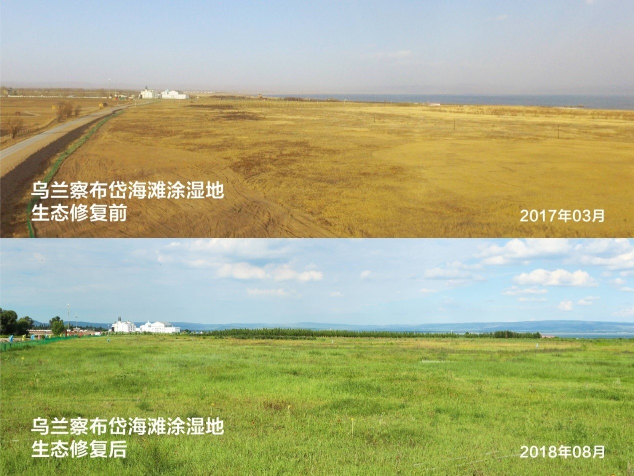 China's Inner Mongolia strives to combat desertification, improve ecological environment