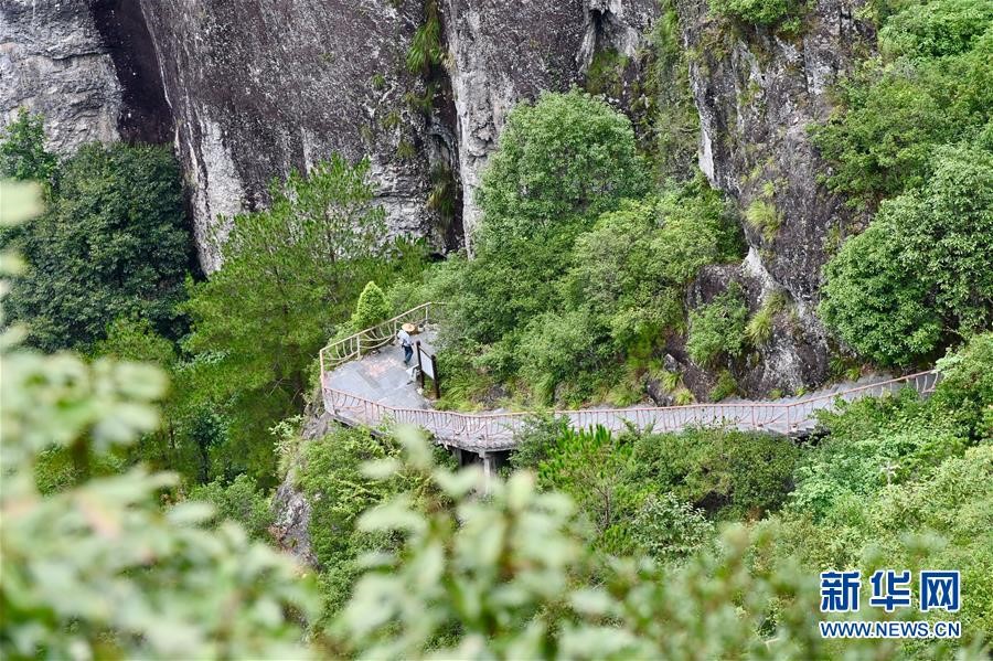 Ancient village in SE China’s Fujian becomes popular tourist destination