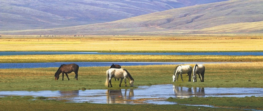 China’s national park system starts to yield fruits