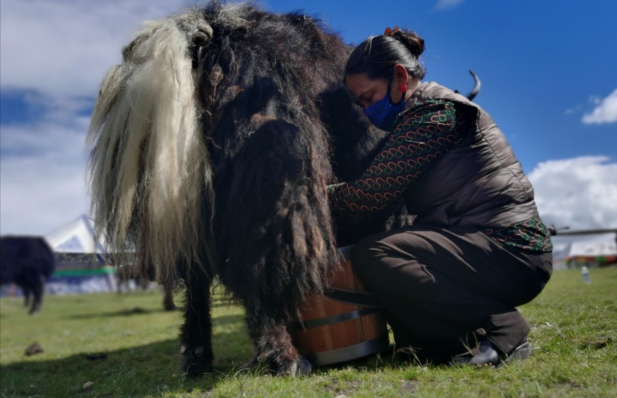 Tibetan township gets rid of poverty, embraces prosperity