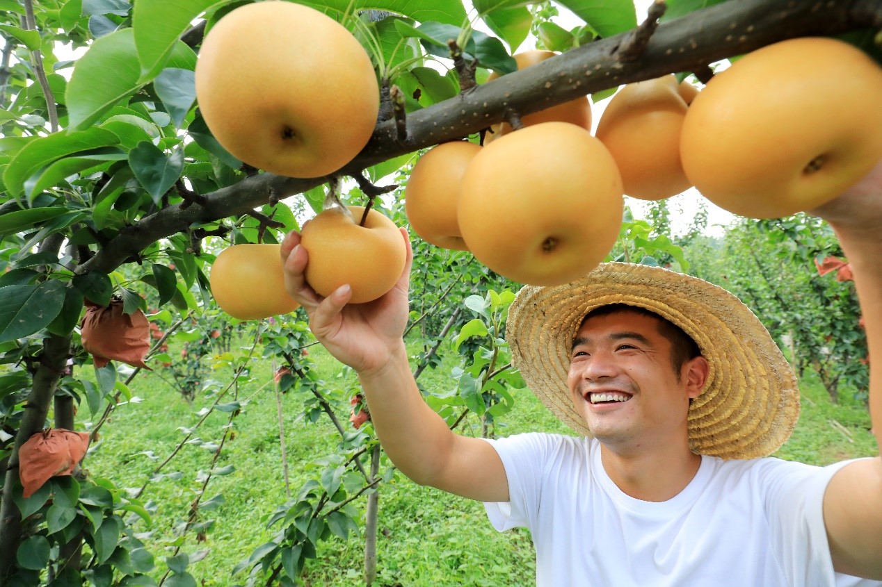 Startup company in Beijing's tech hub makes farming easier with big data