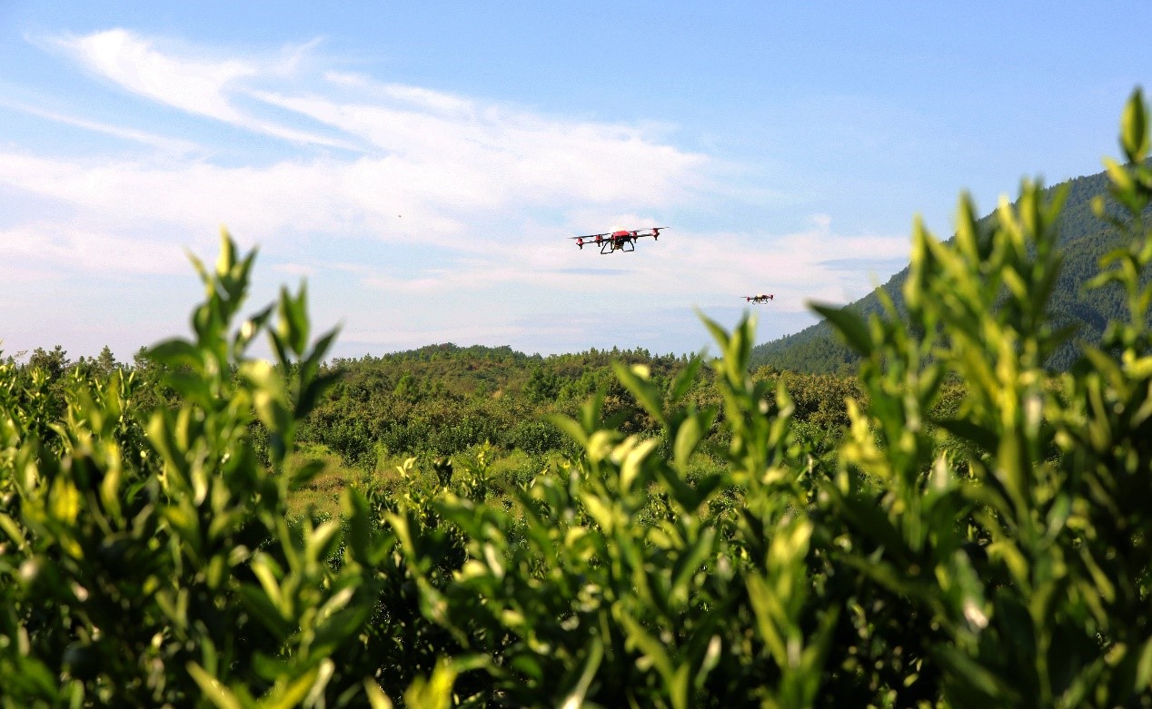 Startup company in Beijing's tech hub makes farming easier with big data