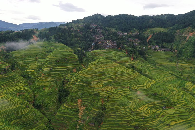 Miao village in SW China’s Guizhou Province becomes increasingly livable