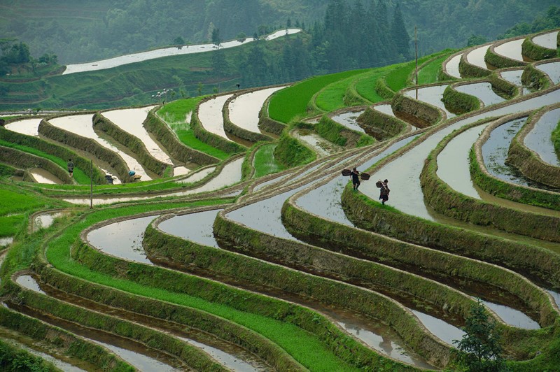 Miao village in SW China’s Guizhou Province becomes increasingly livable