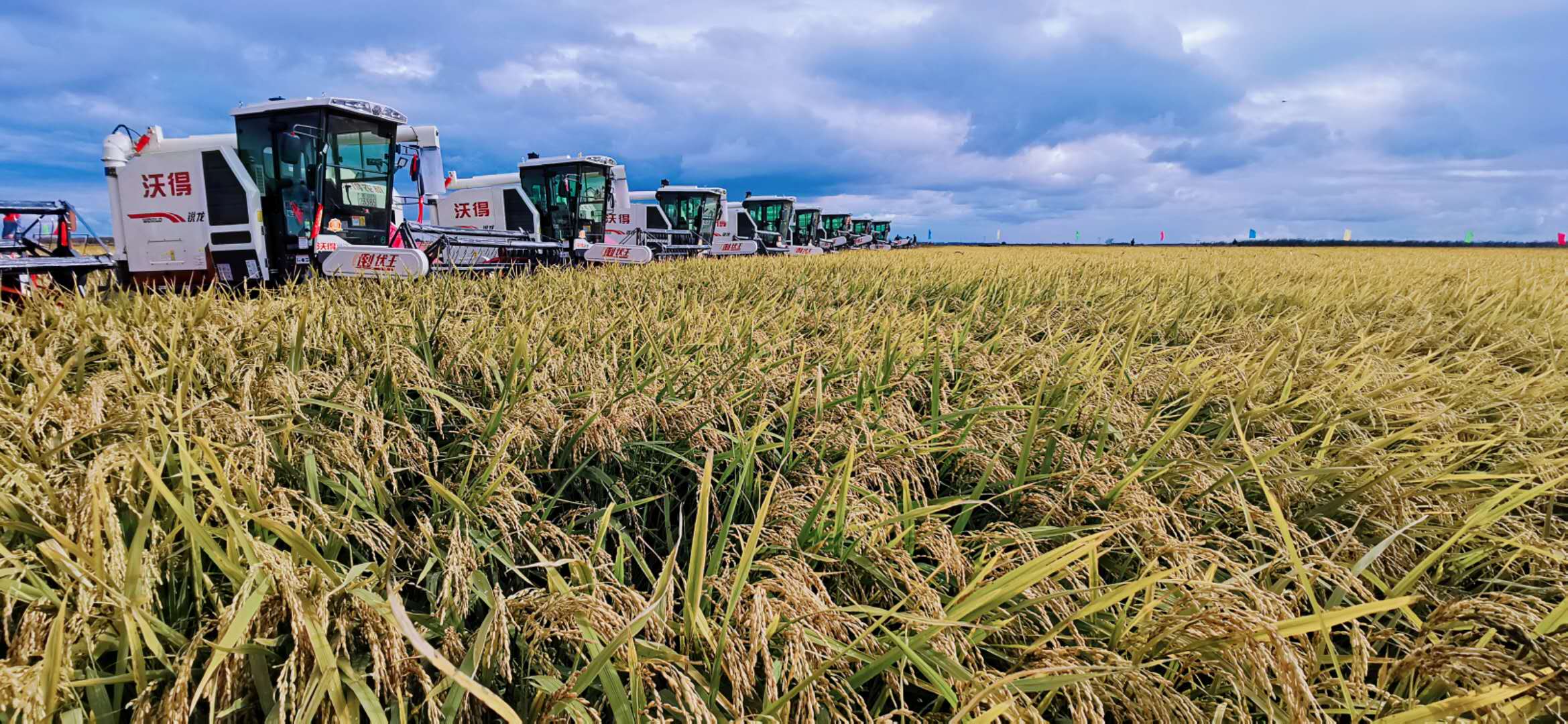 In pics: China embraces bumper harvest of multiple crops