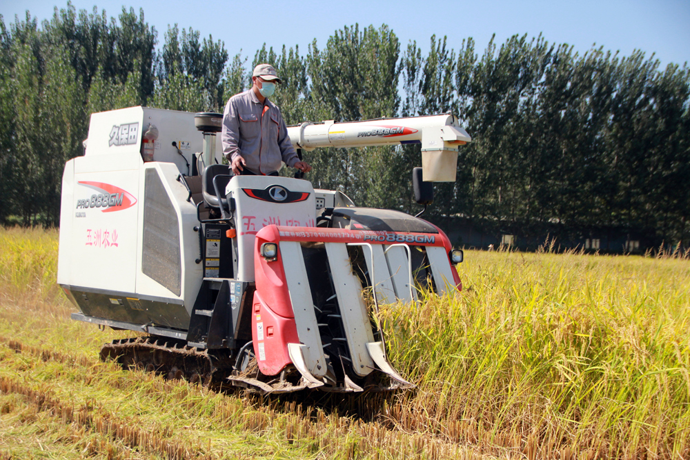 In pics: China embraces bumper harvest of multiple crops