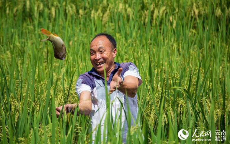 Harvest brings joy to Chinese farmers