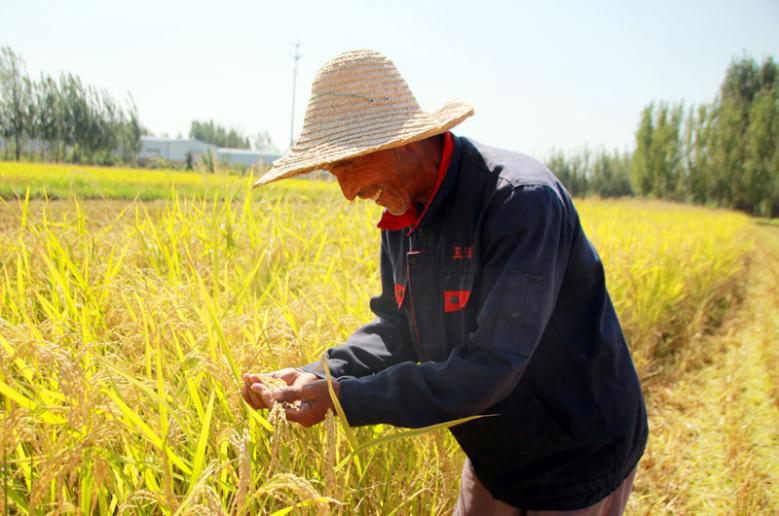 Harvest brings joy to Chinese farmers