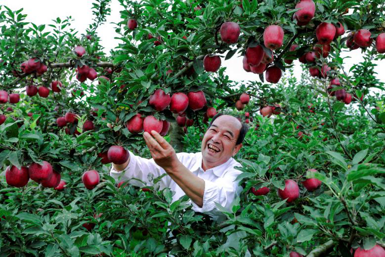 Harvest brings joy to Chinese farmers