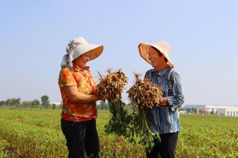 Harvest brings joy to Chinese farmers