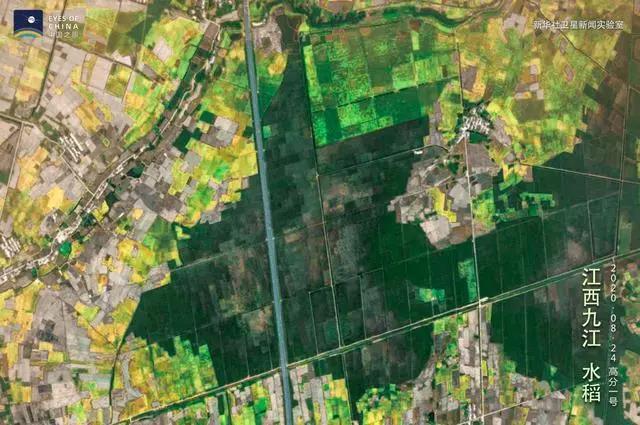 Satellite images capture China’s harvest season