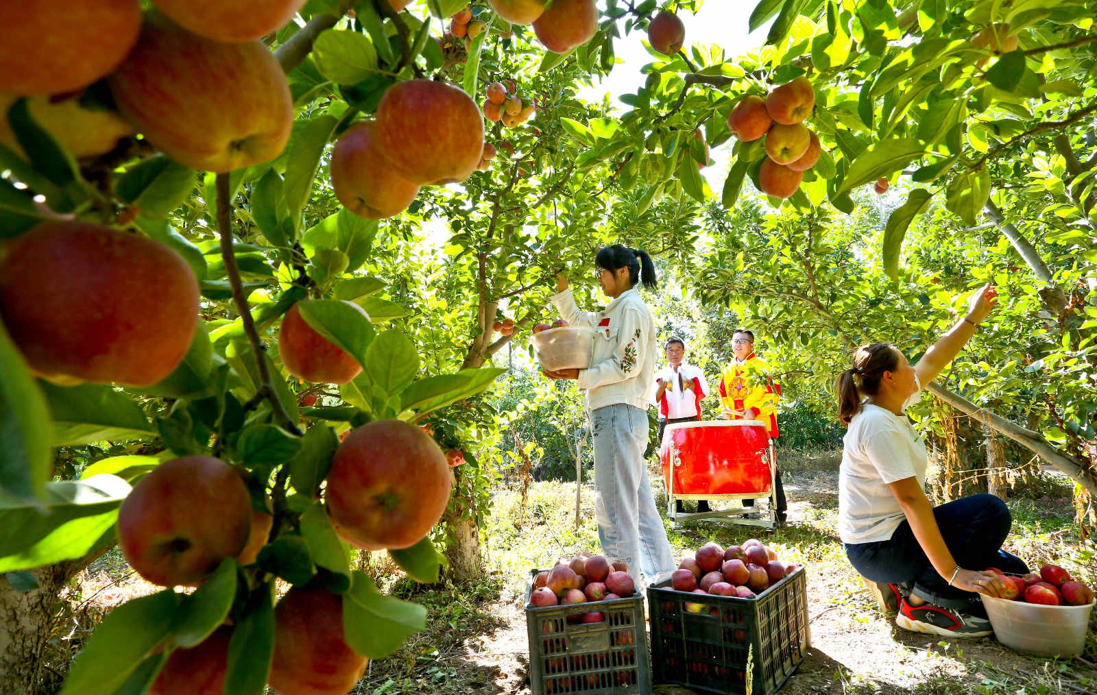 Chinese farmers celebrate harvest, embrace moderately prosperous society in all respects