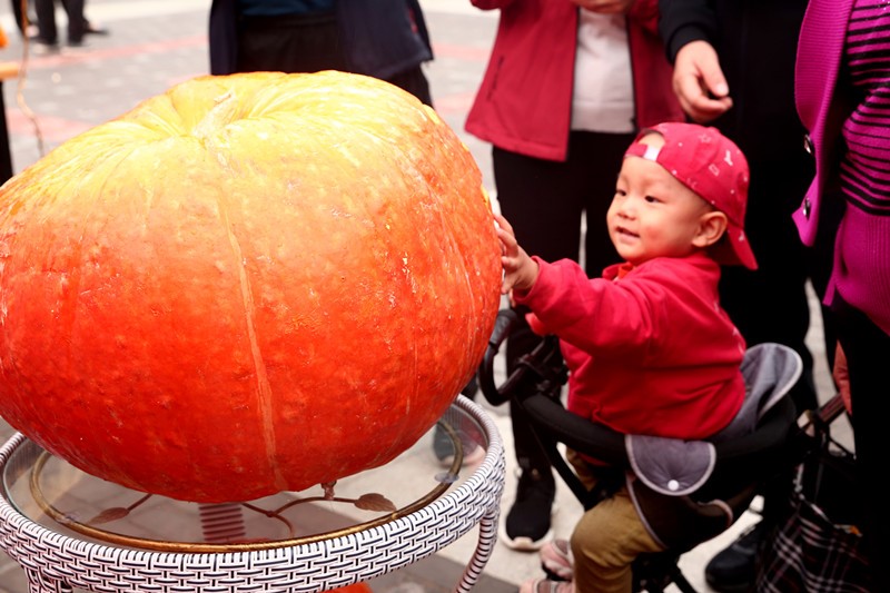 Chinese farmers celebrate harvest, embrace moderately prosperous society in all respects