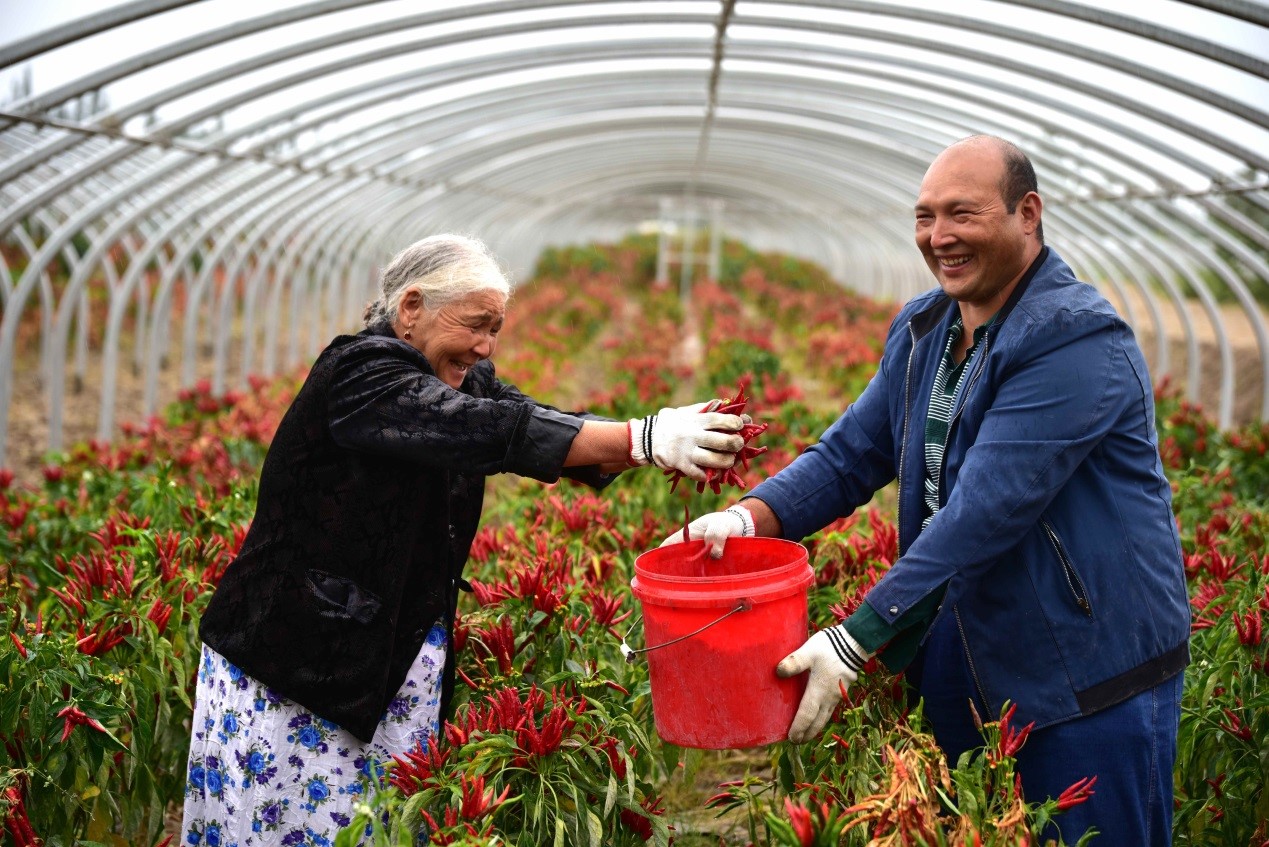 Relocated residents from Xinjiang get rid of poverty, embrace better life