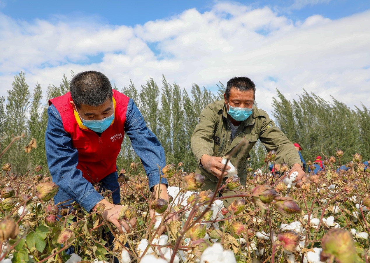 China to stick with CPC policies on governing Xinjiang for the new era