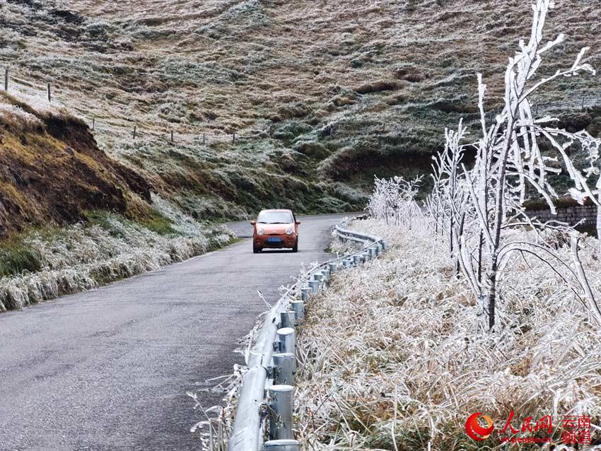  Dahai Township of Qujing city, 3,000 meters above sea level, witnesses its first icicles of this year. Along the road to Dahaicao Mountain, guardrails, grasses and branches are frozen by the unexpected icicles, prompting people to take photos from their cars, Oct. 21, 2020.   (Photo/Zhang Kunhong)