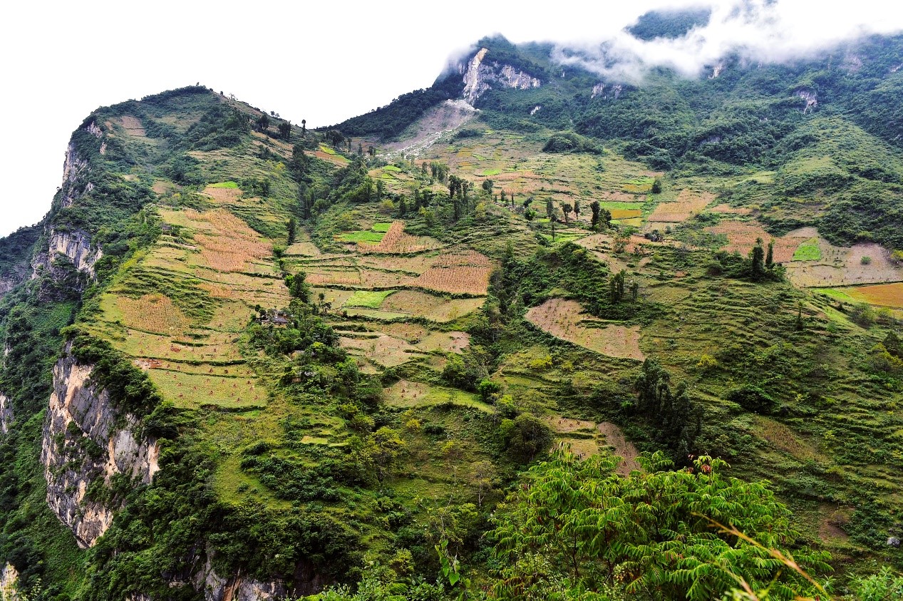 ‘Cliff village’ in SW China’s Sichuan shakes off poverty