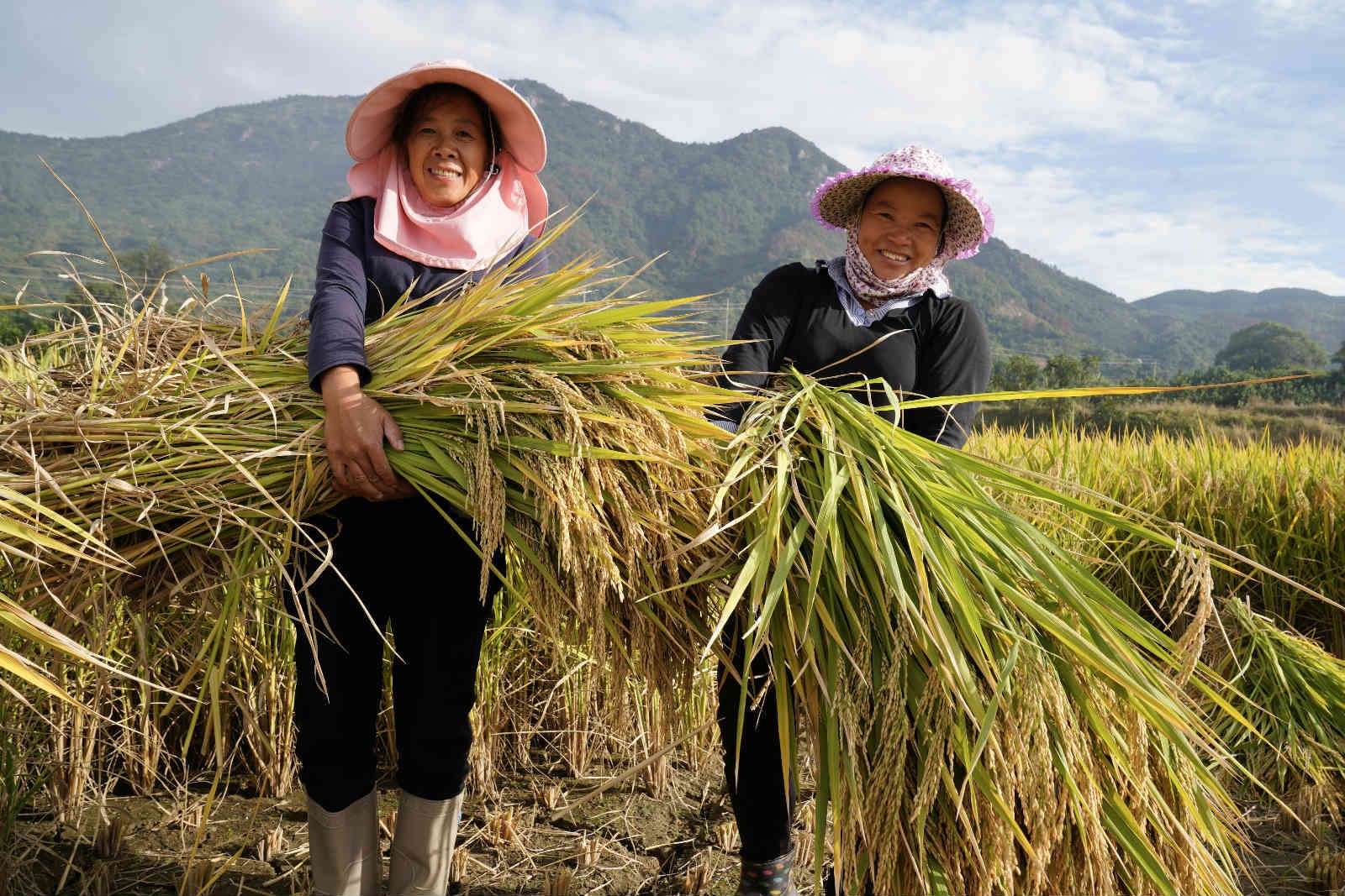 China secures bumper autumn harvest