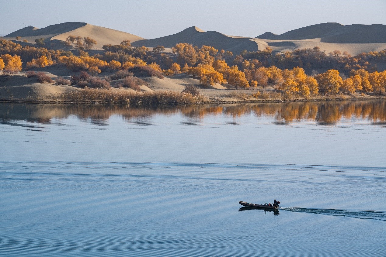 China's high-quality development sparkles with greener progress