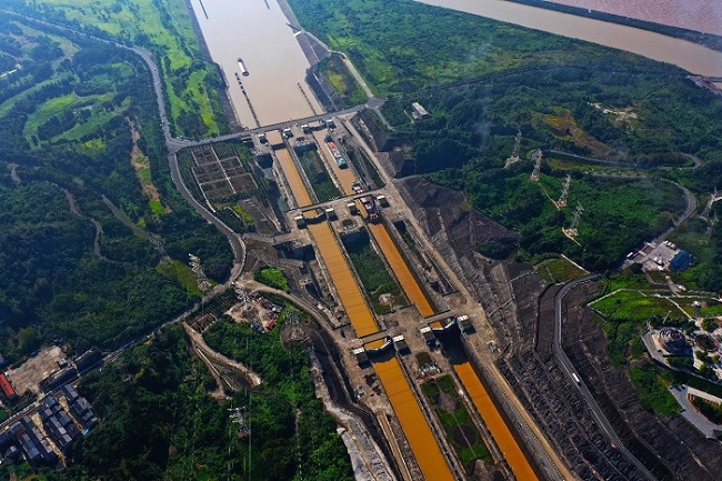 Cargo vessels witness green development of Yangtze River