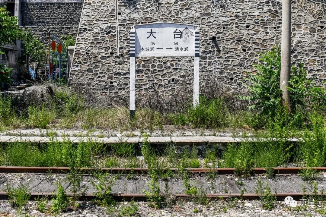 Beijing turns coal mines into forests to lift urban environment