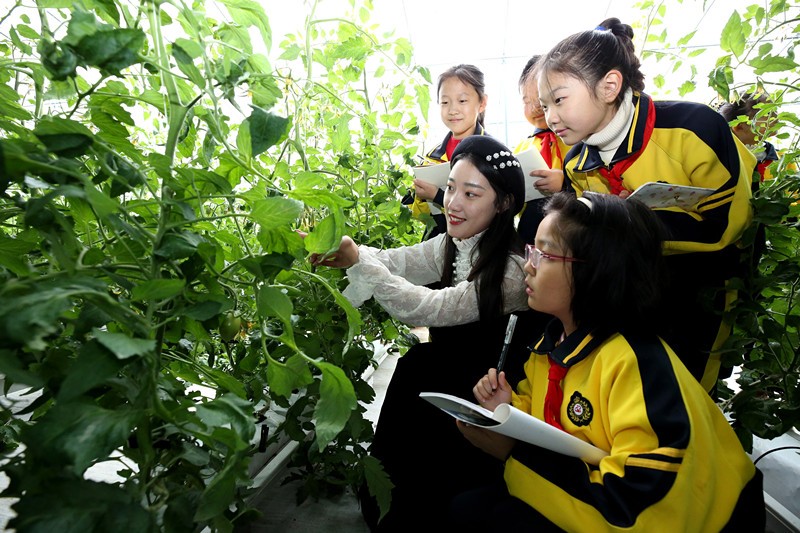 Young people become important driving force for rural revitalization in E China’s Shandong