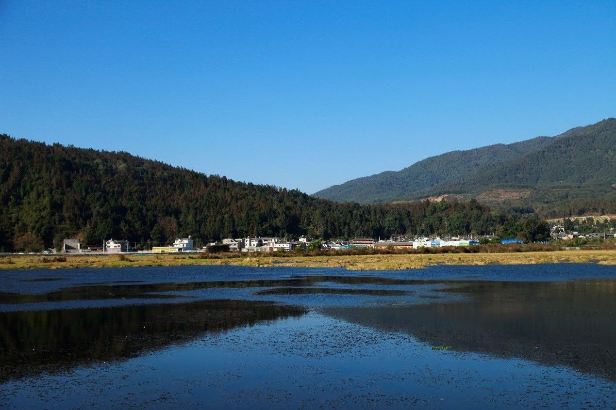 View of Beihai Wetland in SW China’s Yunnan