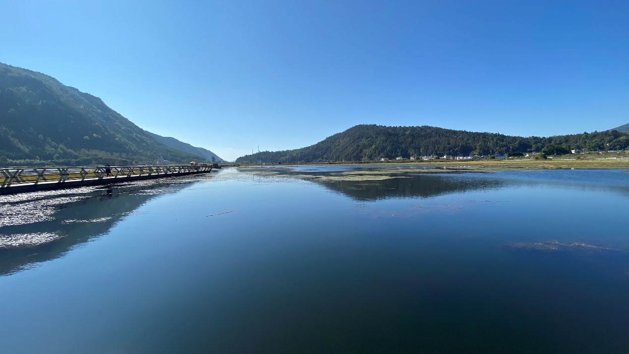 View of Beihai Wetland in SW China’s Yunnan