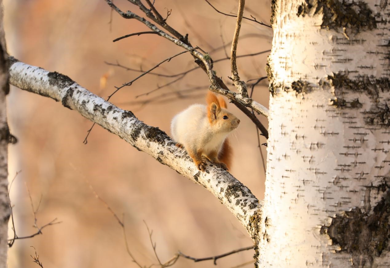 China strives to advance ecological civilization with world