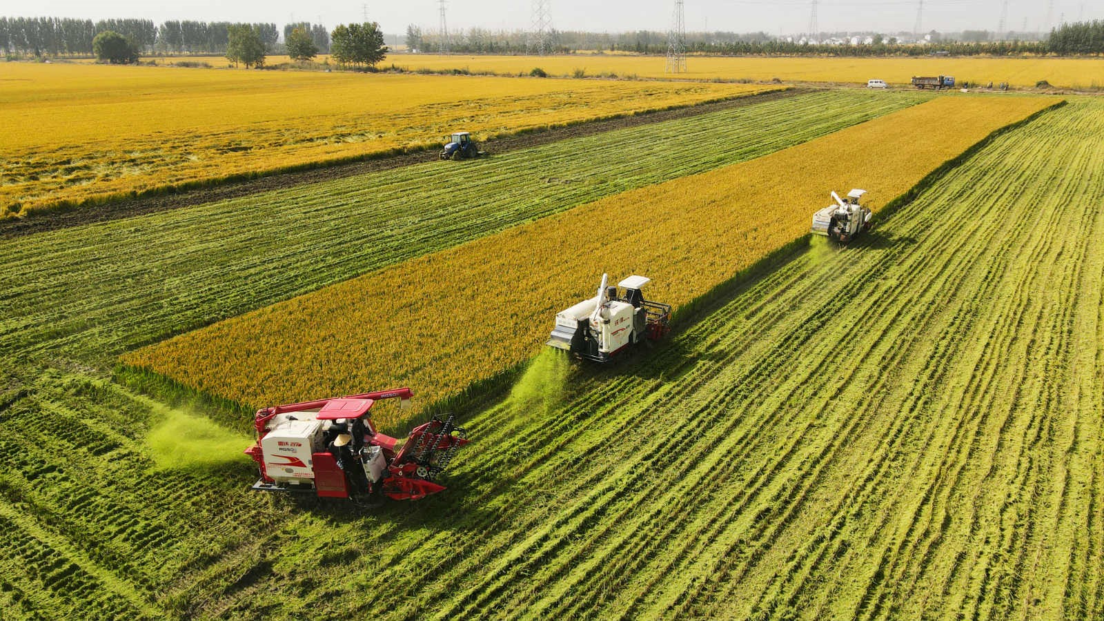 China secures bumper harvest for 17 consecutive years