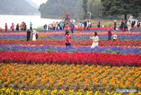 Tourists enjoy themselves amid flowers at Shimen National Forest Park in Guangzhou